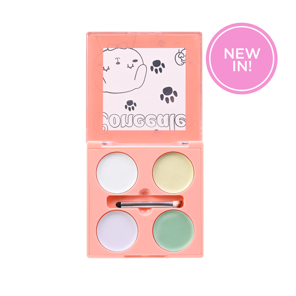 Professional Makeup Concealer - concealer petish 1 - Concealer
