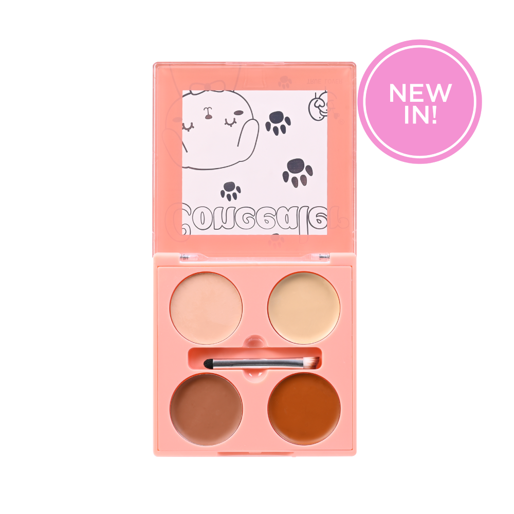 Professional Makeup Concealer - concealer petish 2 - Concealer