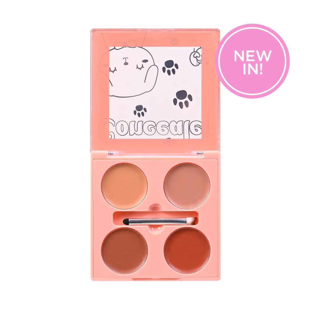 Professional Makeup Concealer - concealer petish 3 - Concealer