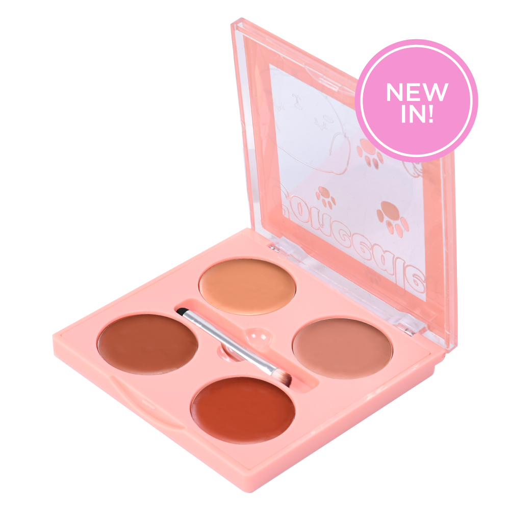 Professional Makeup Concealer - Concealer